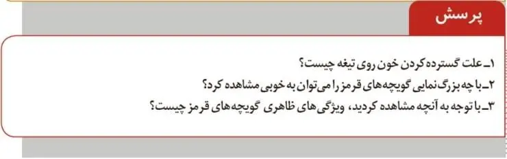 پاسخ پرسش صفحه 33 آزمایشگاه علوم تجربی دهم