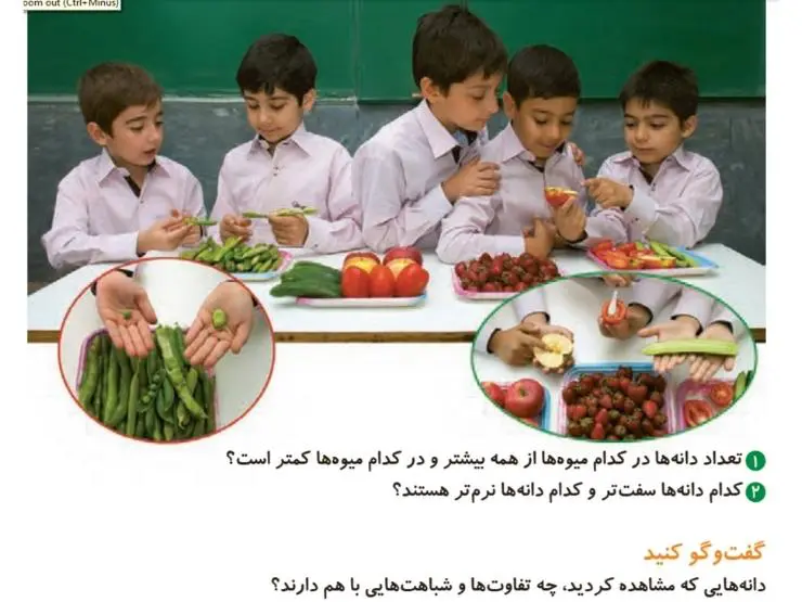 گفت و گو کنید صفحه 65 علوم دوم ابتدایی