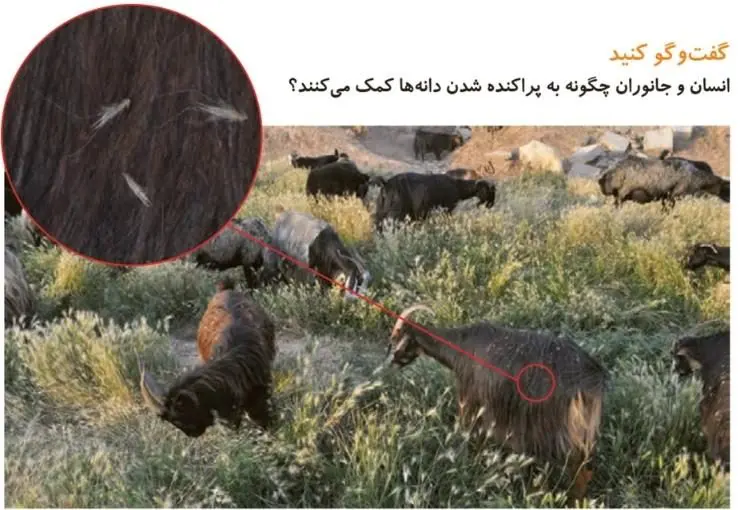 گفت و گو کنید صفحه 68 علوم دوم ابتدایی