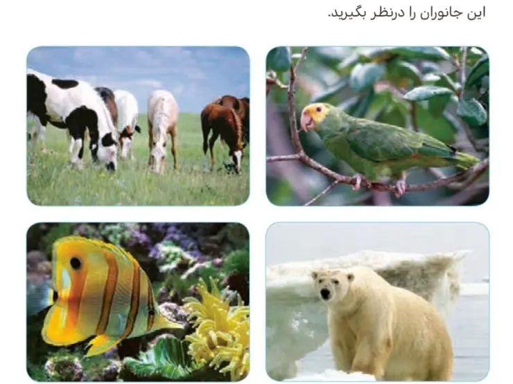 ایستگاه فکر صفحه 11 هدیه‌های آسمان چهارم ابتدایی1