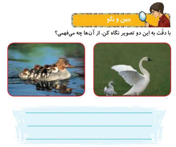 پاسخ ببین و بگو درس 4 هدیه دوم دبستان