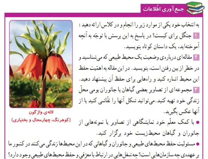 جواب جمع‌آوری اطلاعات صفحه 92 علوم ششم
