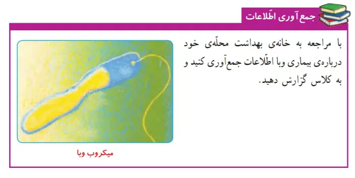 جواب جمع‌آوری اطلاعات صفحه 94 علوم ششم