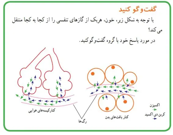 جواب صفحه127 علوم هفتم