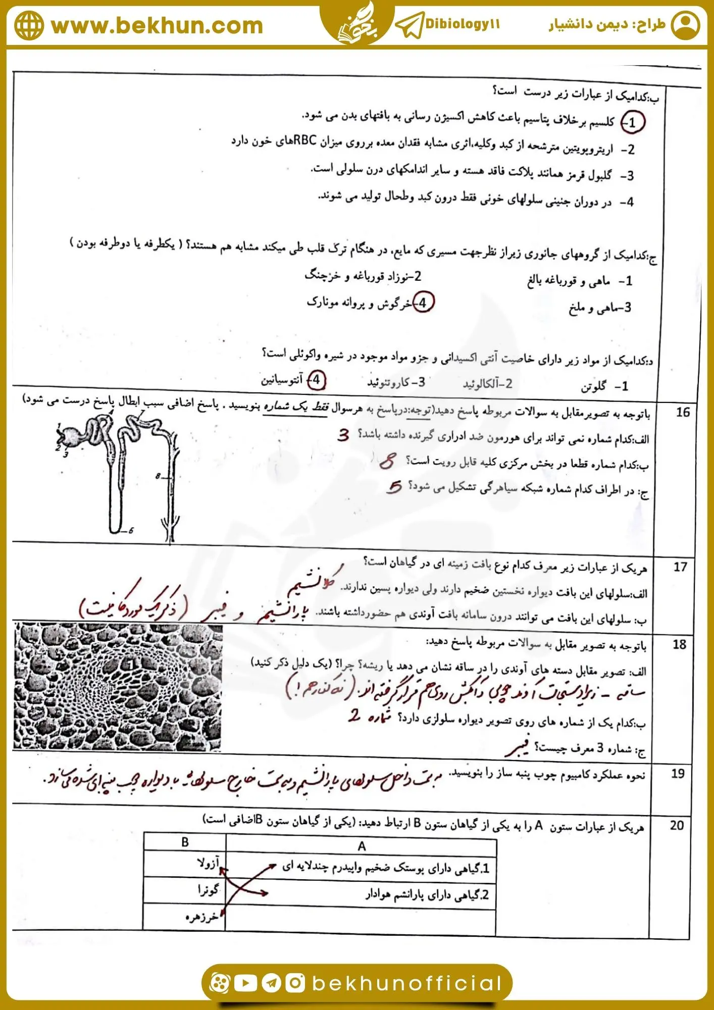دانلود نمونه سوال خرداد زیست دهم با پاسخ