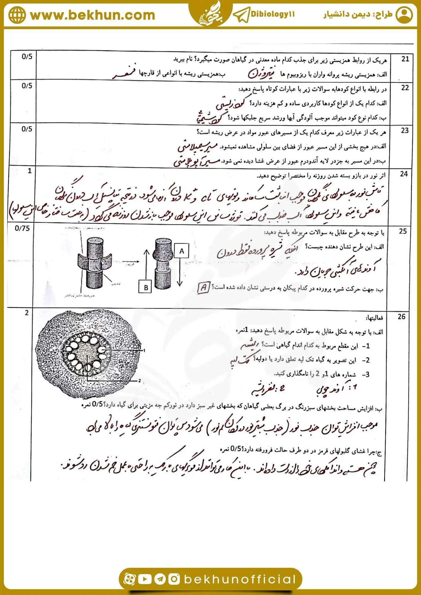 دانلود نمونه سوالات نوبت دوم زیست شناسی دهم 