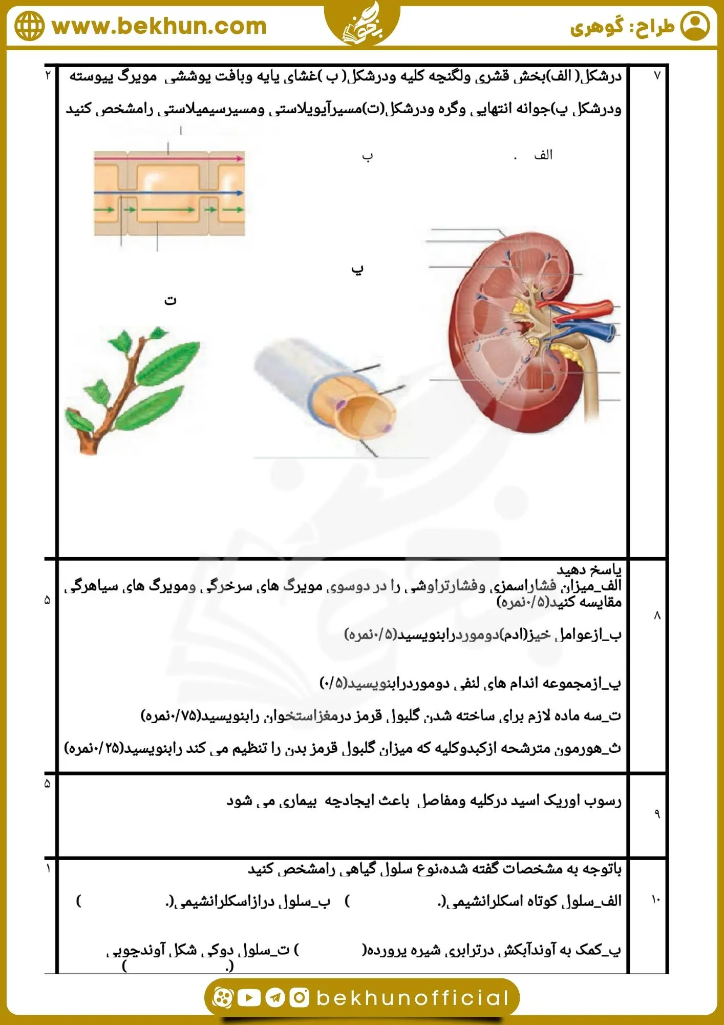 نمونه سوال زیست دهم نوبت دوم با جواب گوهری
