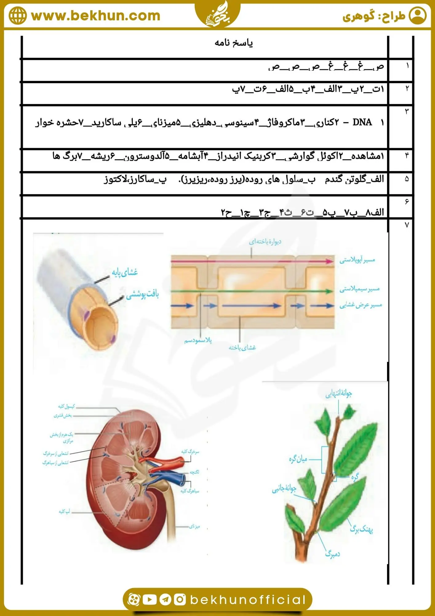 امتحان نوبت دوم زیست دهم گوهری