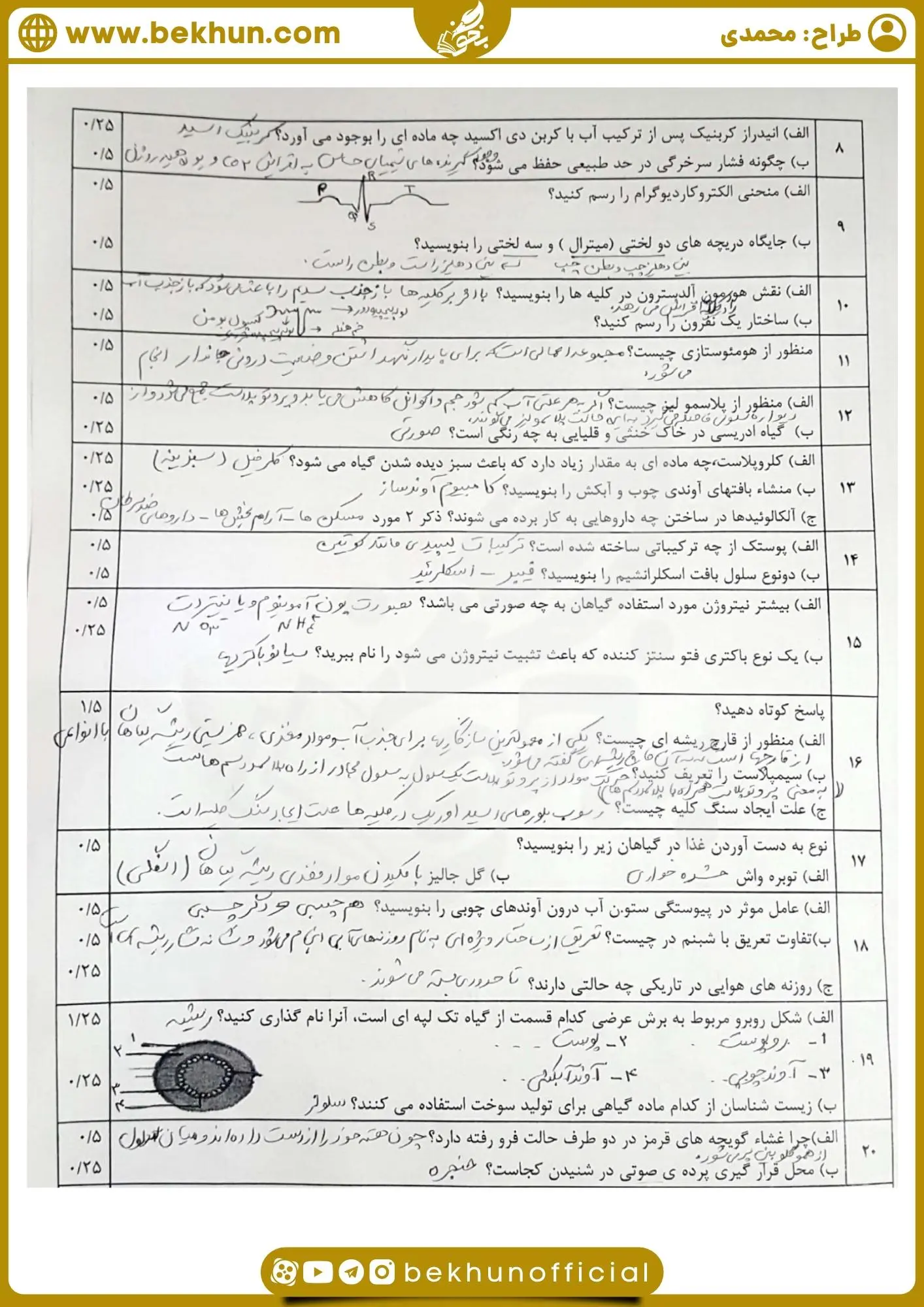 سوالات نوبت دوم زیست دهم با پاسخ