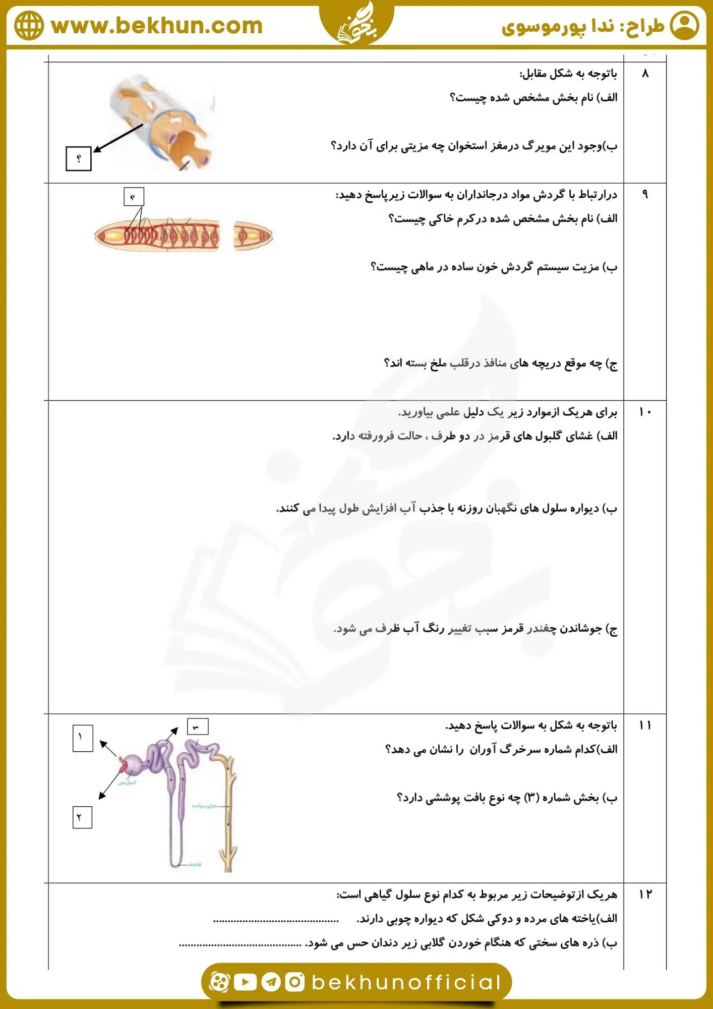 نمونه سوال امتحانی زیست دهم نوبت دوم