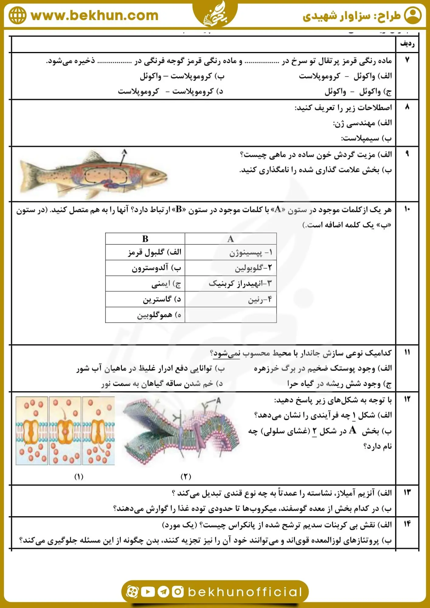 نمونه سوال زیست شناسی دهم نوبت دوم