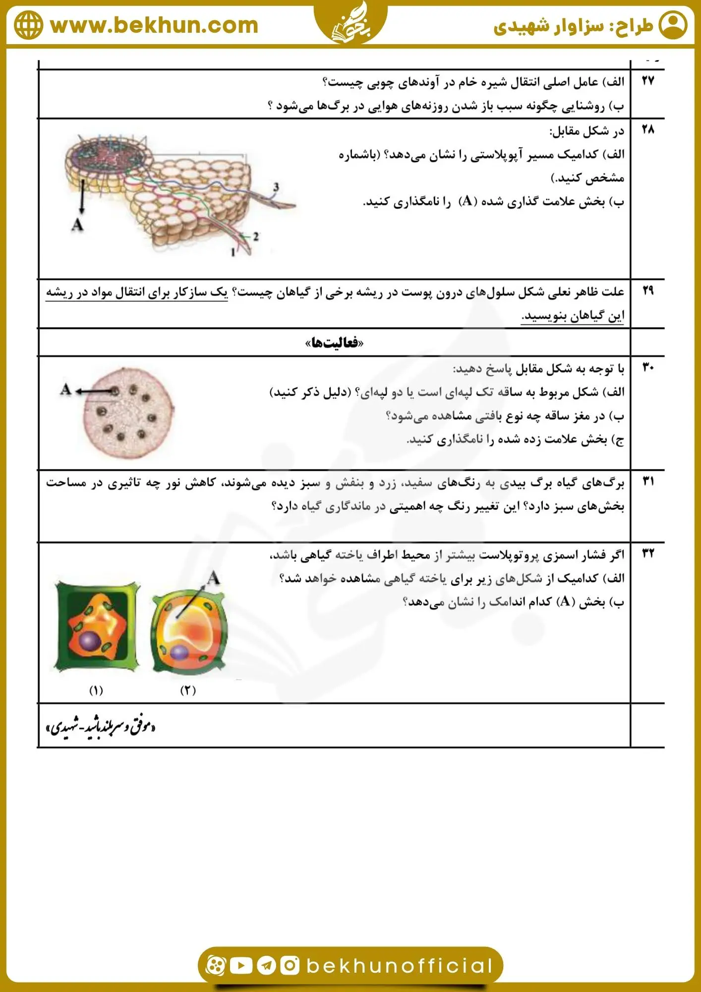 نمونه سوالات زیست دهم تجربی نوبت دوم