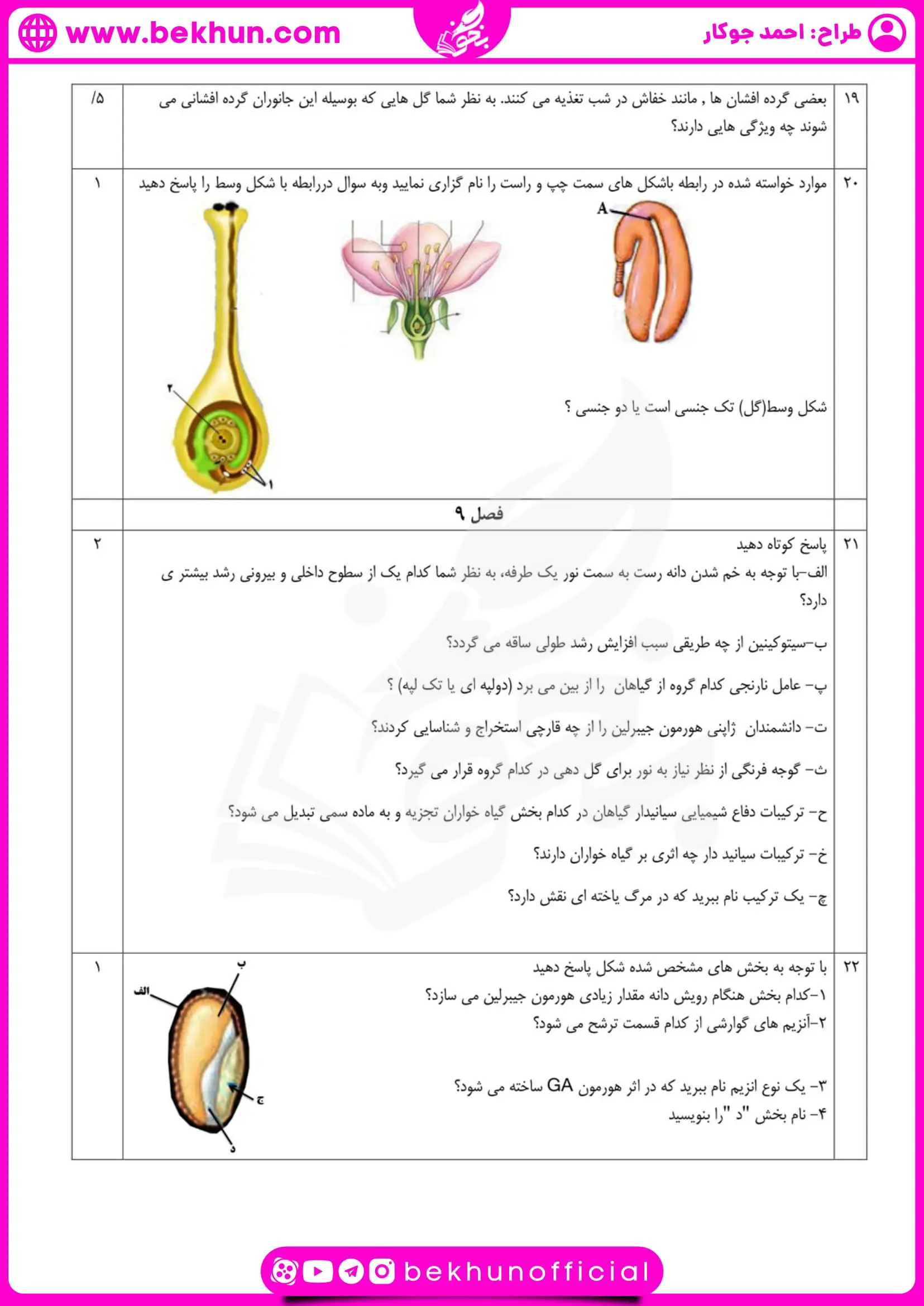 نمونه سوالات نوبت دوم زیست یازدهم خرداد ماه