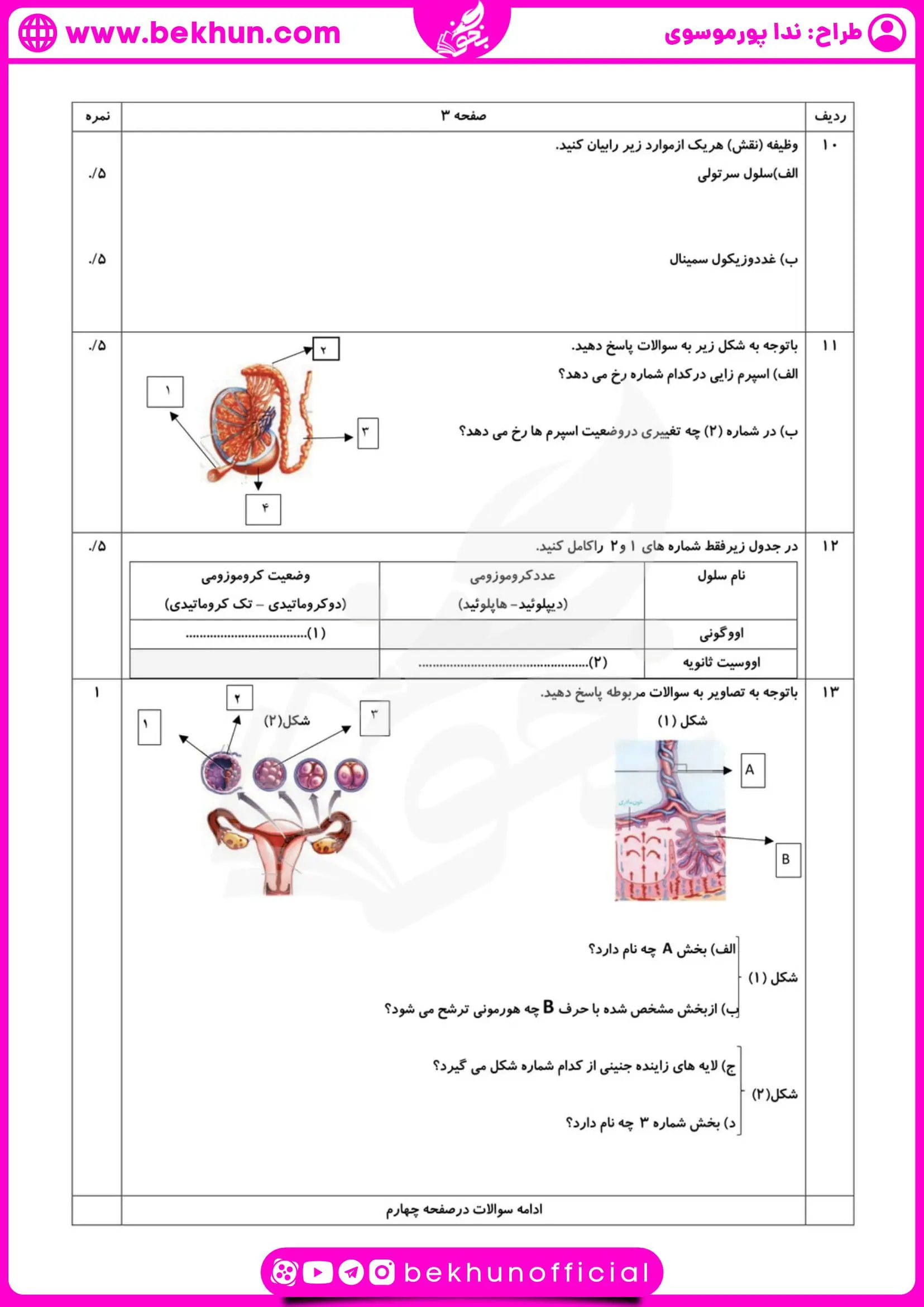 نمونه سوال زیست یازدهم نوبت خرداد