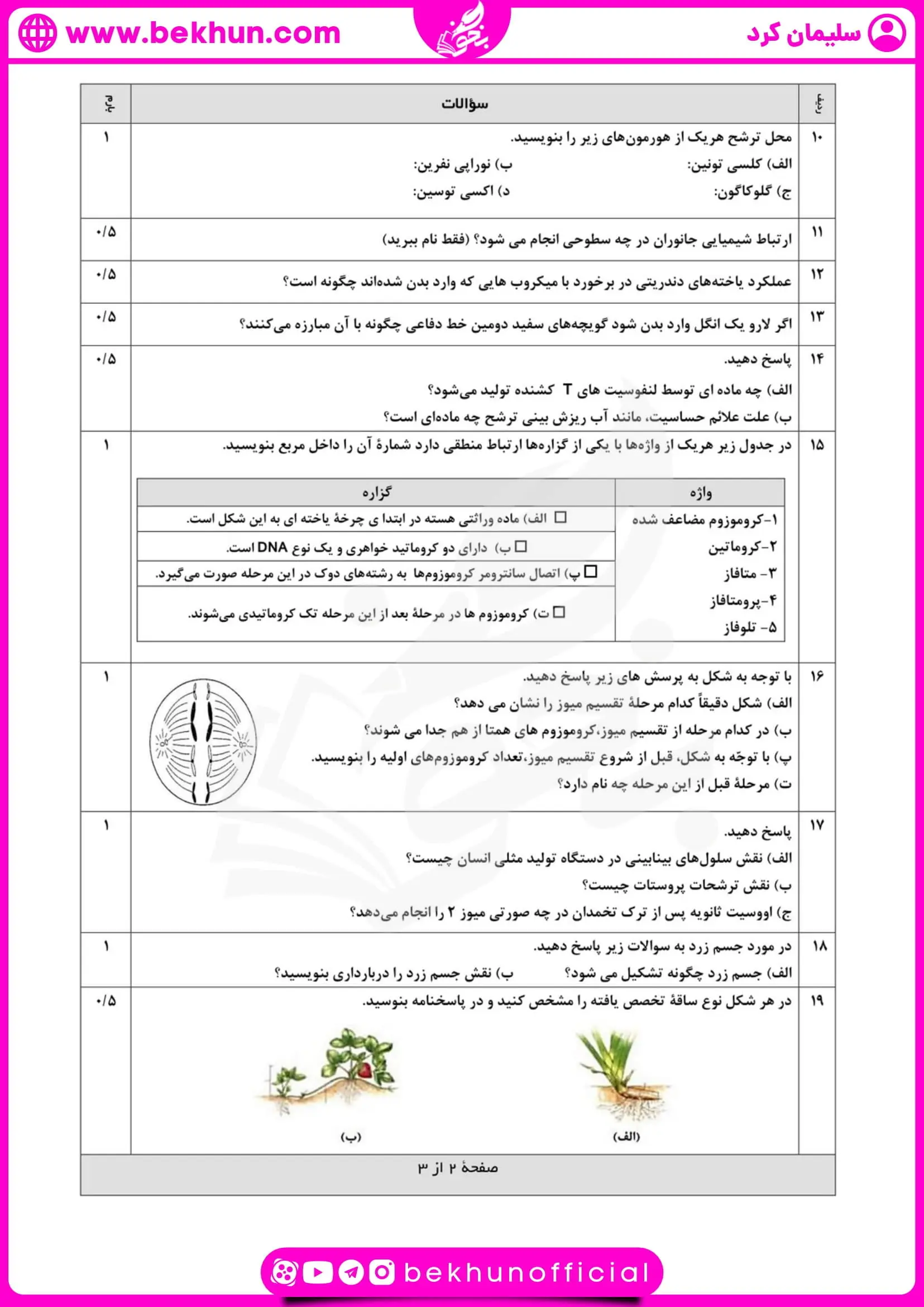 نمونه سوالات نوبت دوم زیست یازدهم تجربی