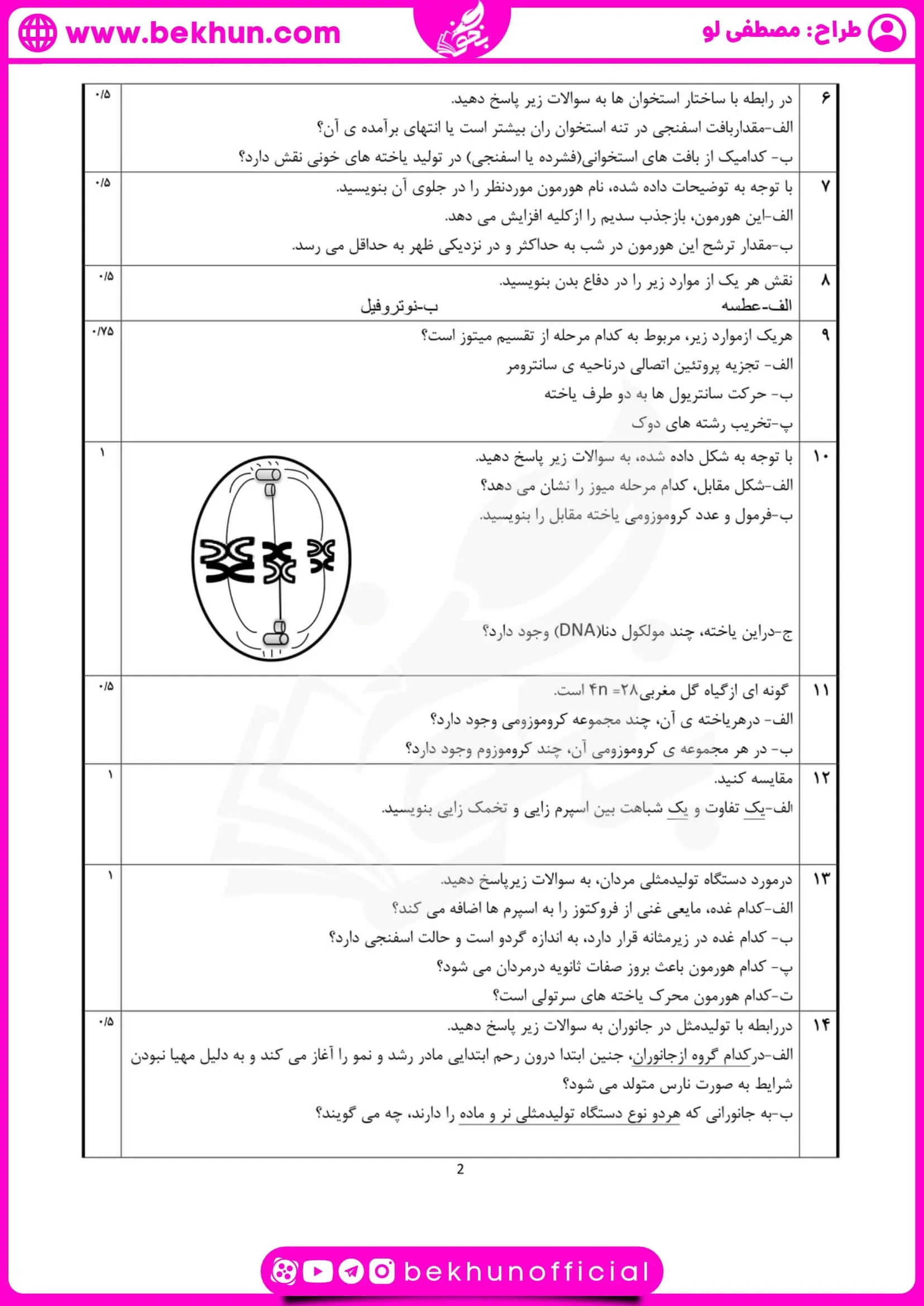 نمونه سوال نوبت دوم زیست یازدهم همراه با جواب