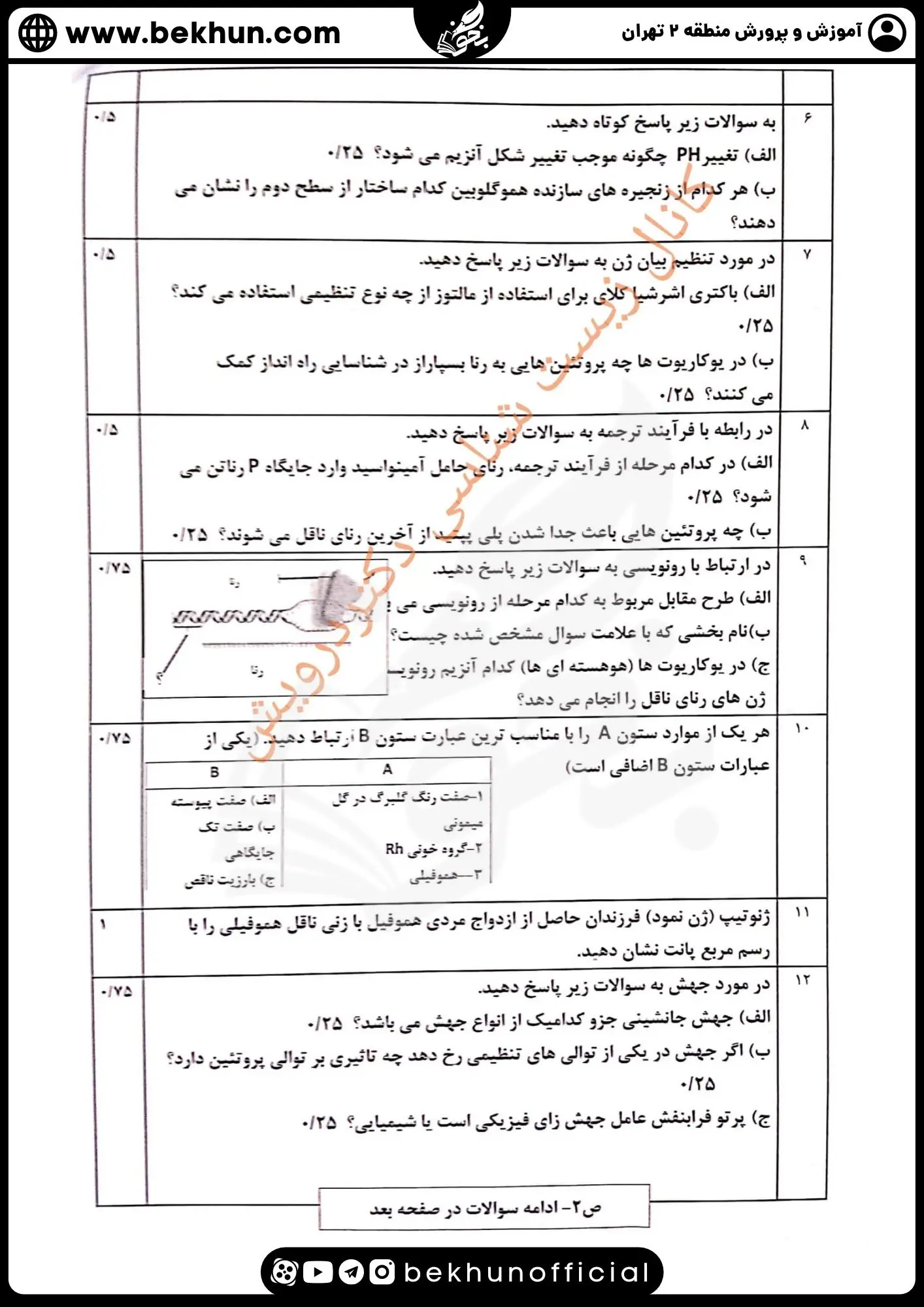 دانلود امتحان نهایی زیست دوازدهم