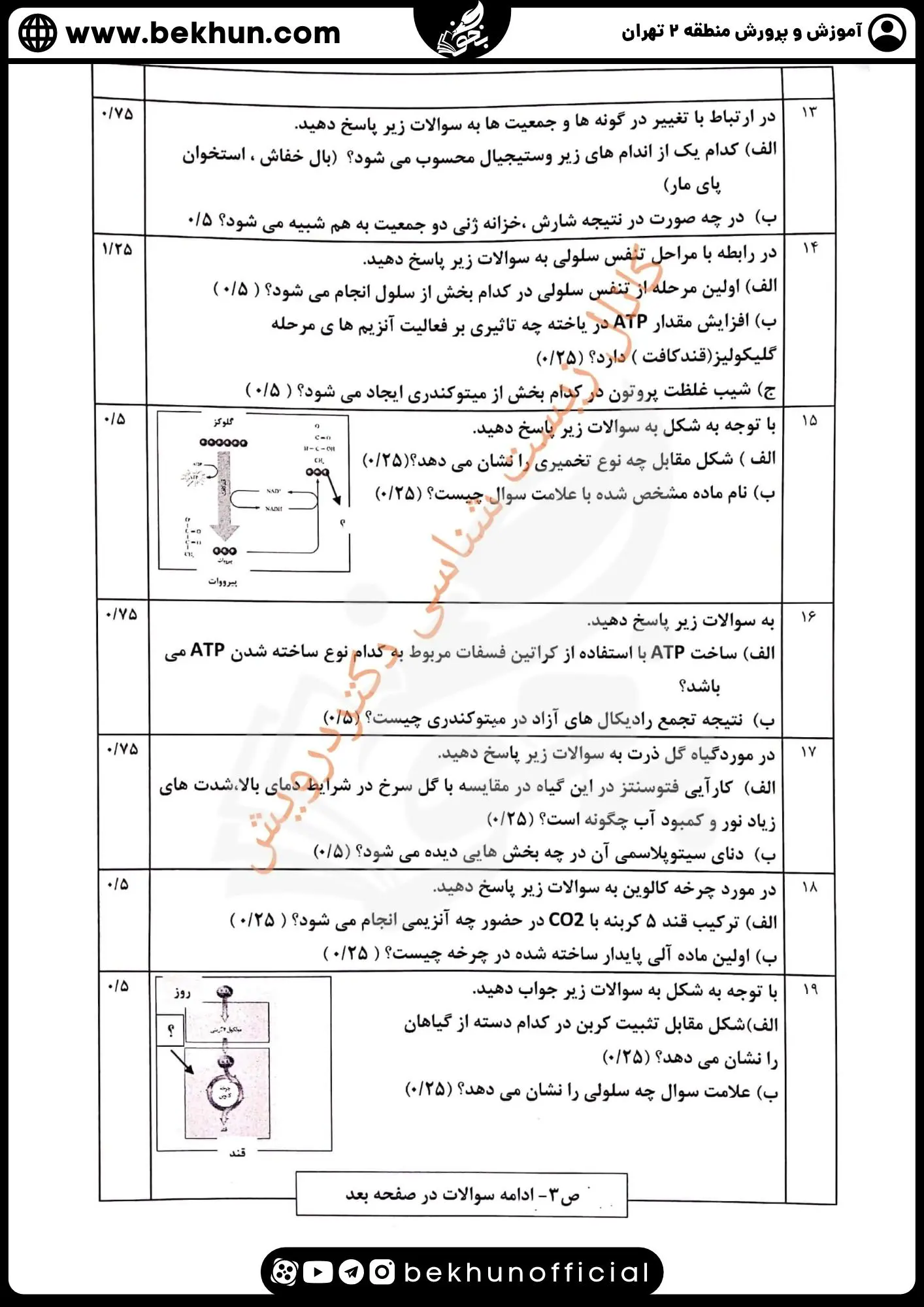 امتحان نهایی زیست