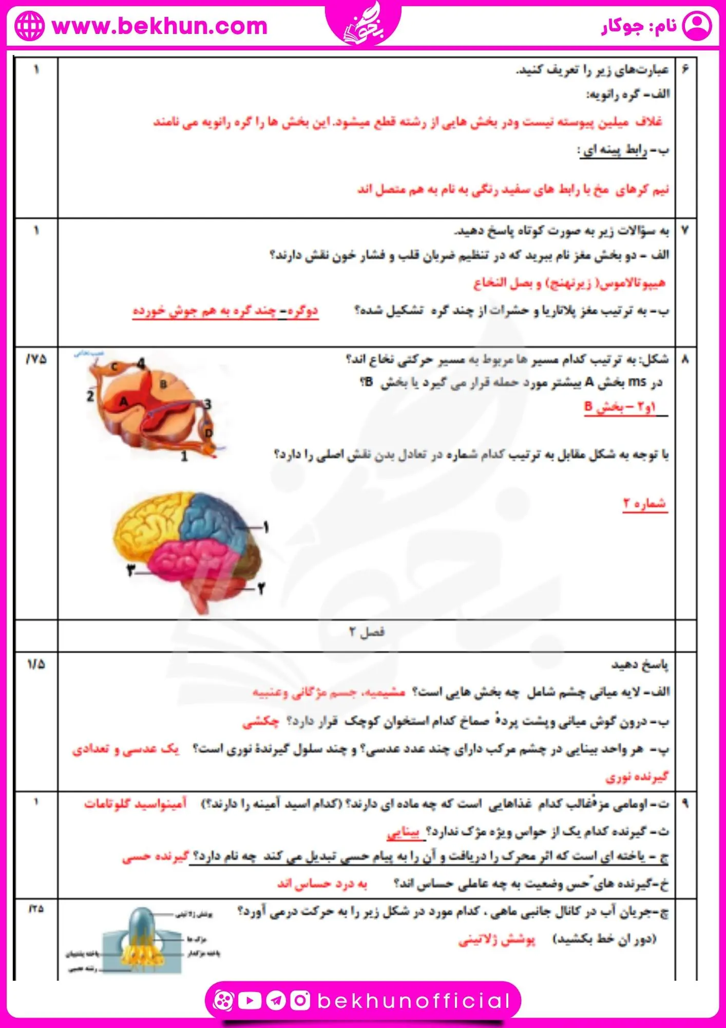 نمونه سوال ترم اول زیست 11 با پاسخ