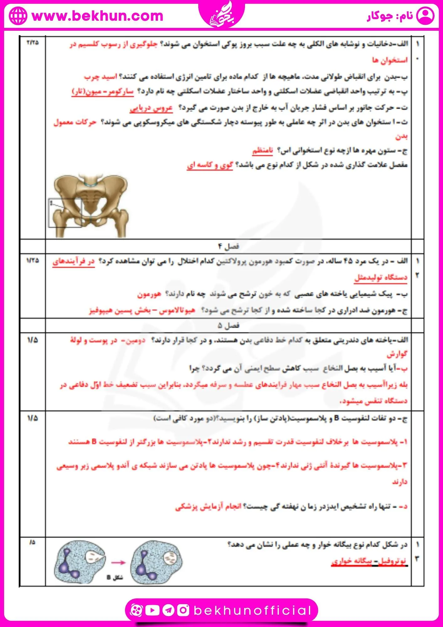نمونه سوال ترم اول زیست یازدهم با پاسخ