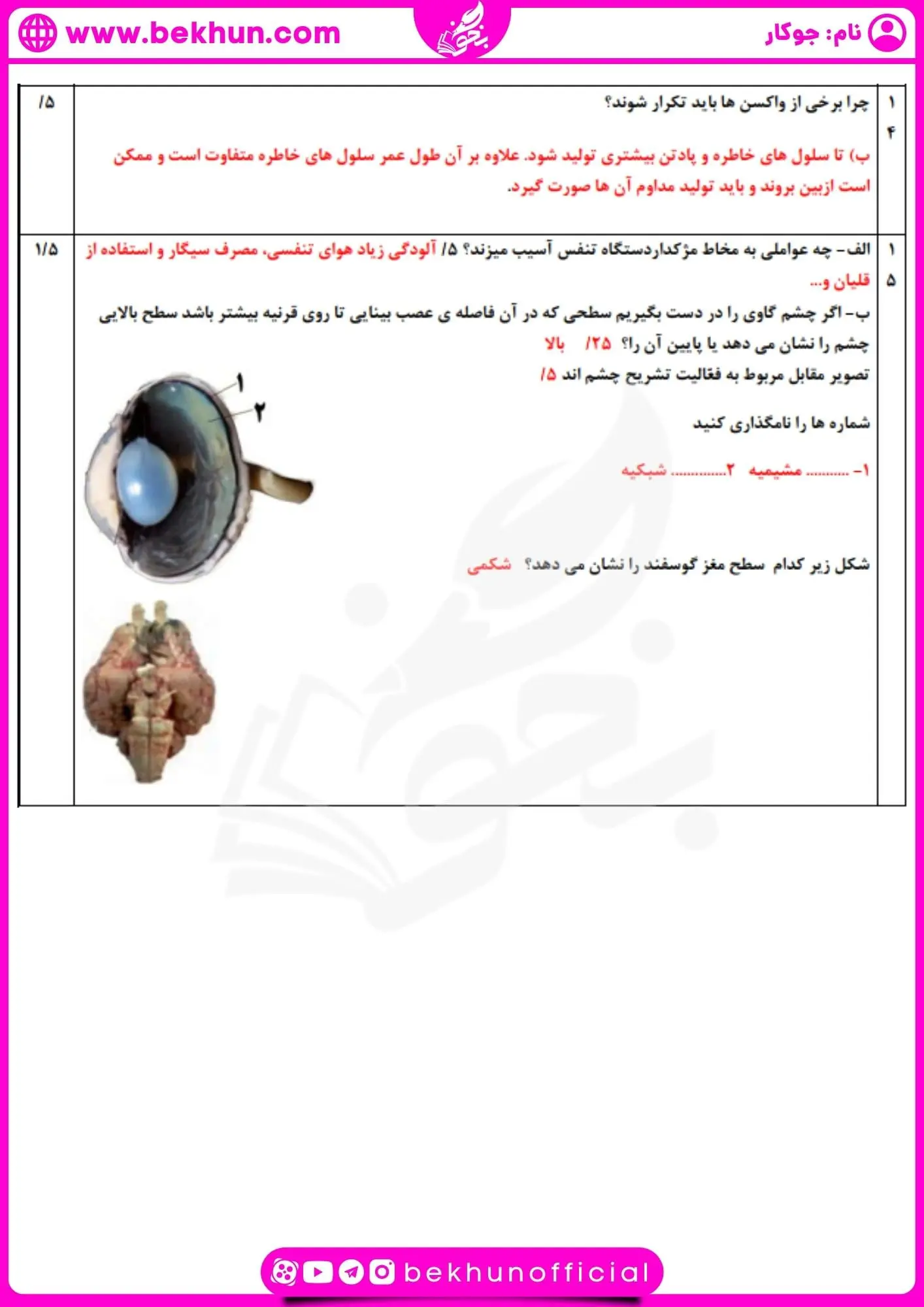 نمونه سوال ترم اول زیست یازدهم 