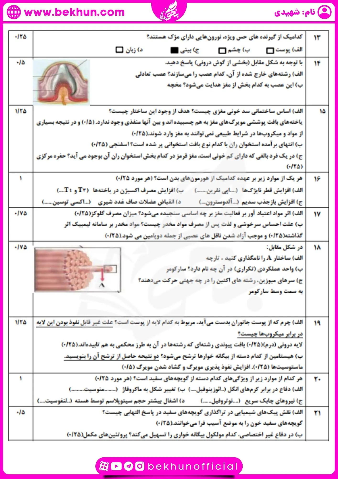 نمونه سوال زیست‌شناسی نوبت اول یازدهم