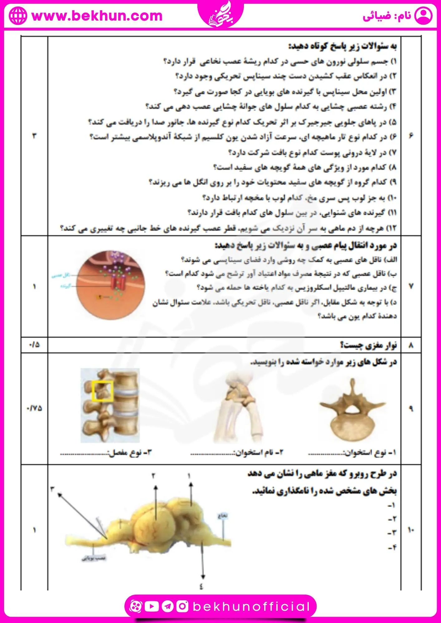 نمونه سوالات امتحانی نوبت اول زیست یازدهم همراه با جواب