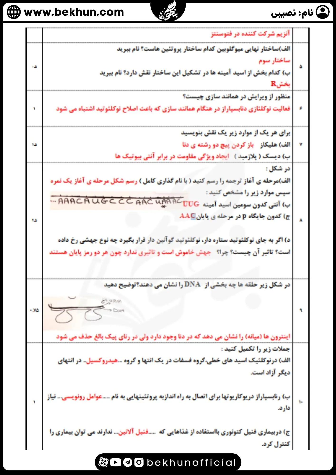 نمونه سوالات نوبت اول زیست دوازدهم با جواب