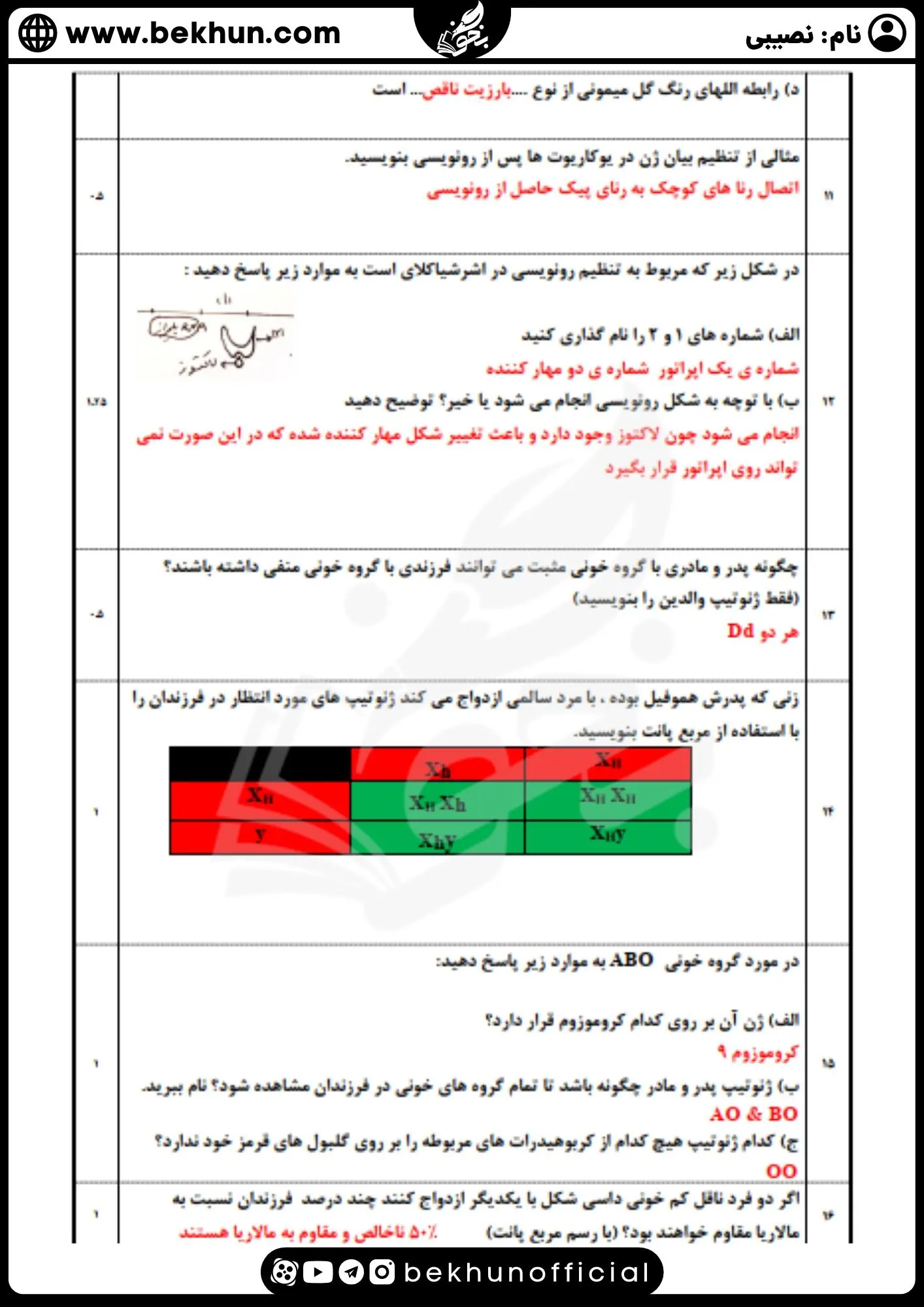 نمونه سوالات نوبت اول زیست دوازدهم با پاسخ