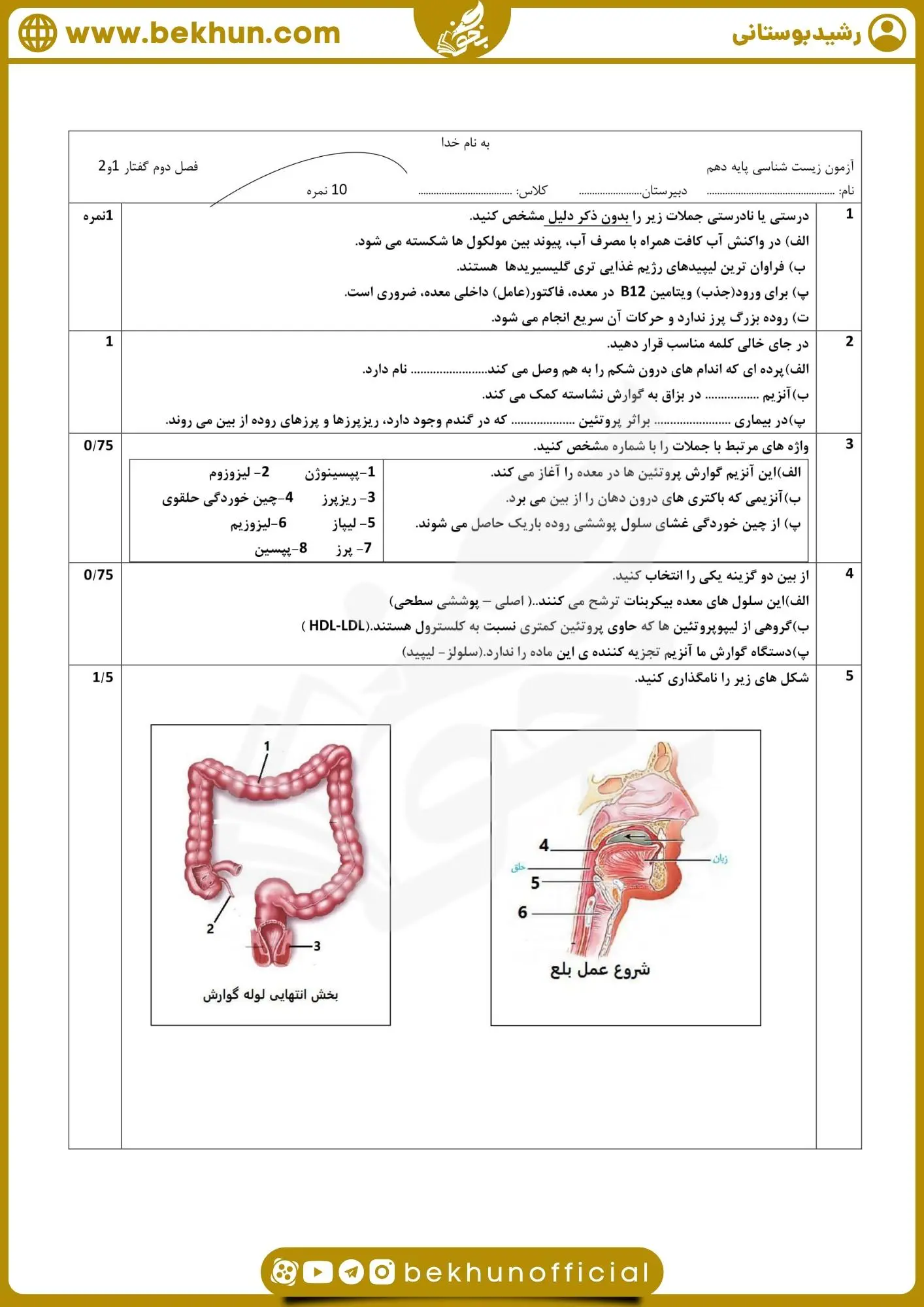 نمونه سوال فصل 2 زیست دهم