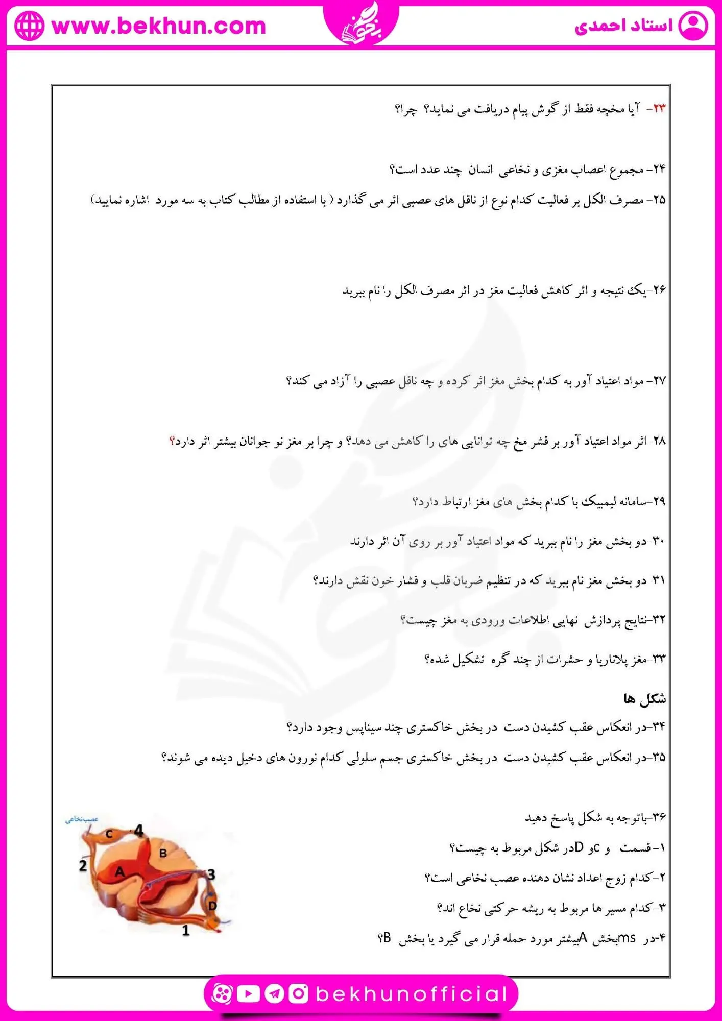 نمونه سوال فصل اول زیست یازدهم | تنظیم عصبی 29 نمونه سوال گفتار به گفتار زیست یازدهم