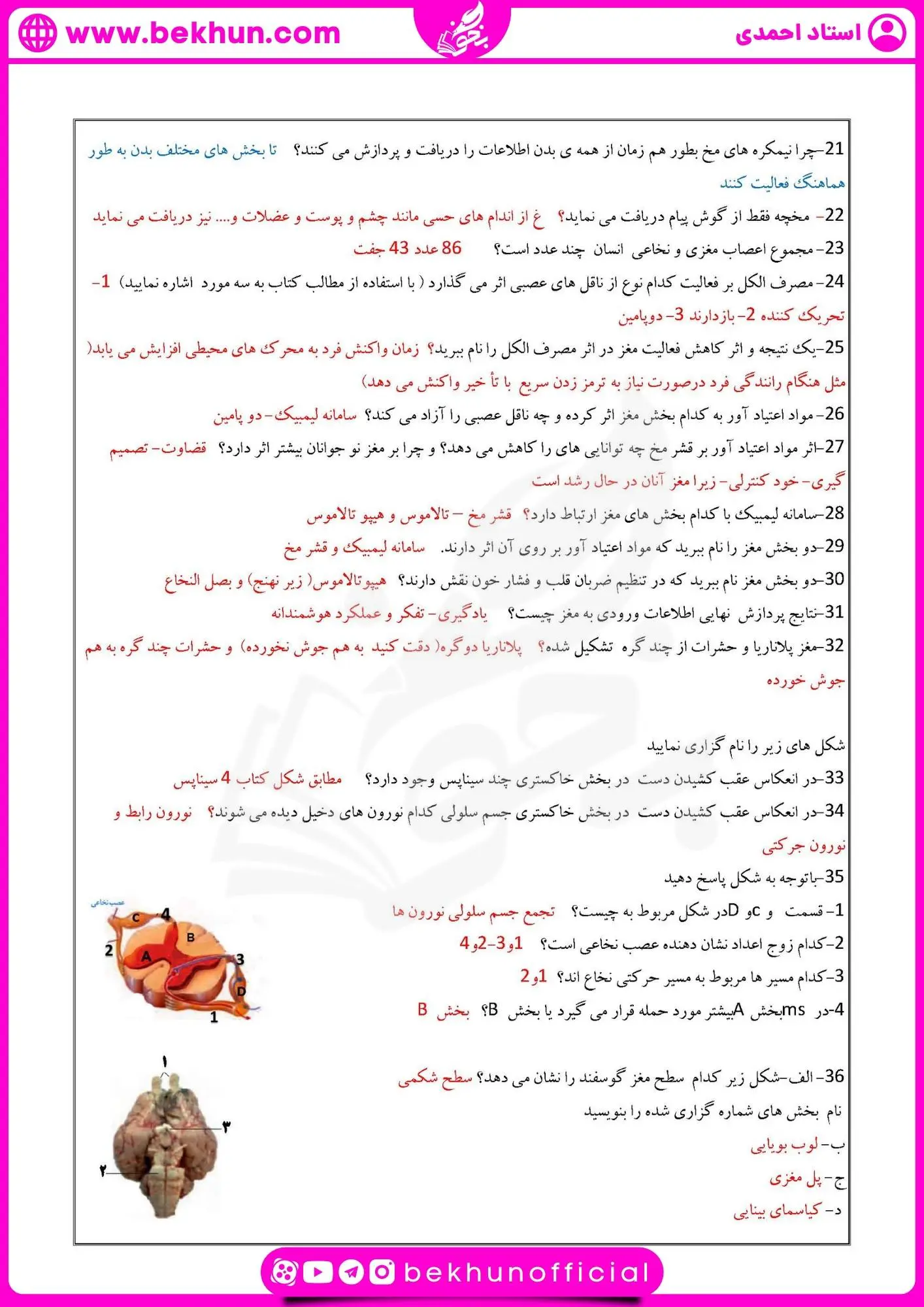 نمونه سوال فصل اول زیست یازدهم | تنظیم عصبی 33 نمونه سوال گفتار ۱ فصل ۱ زیست یازدهم
