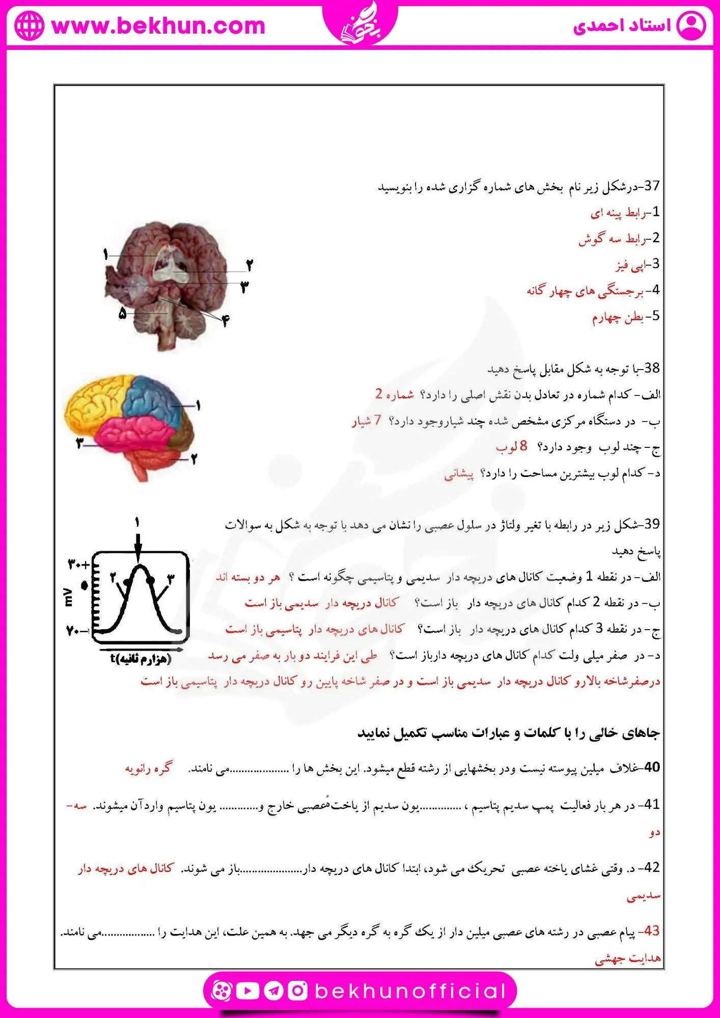 نمونه سوال فصل اول زیست یازدهم | تنظیم عصبی 34 نمونه سوال گفتار یک فصل یک زیست یازدهم