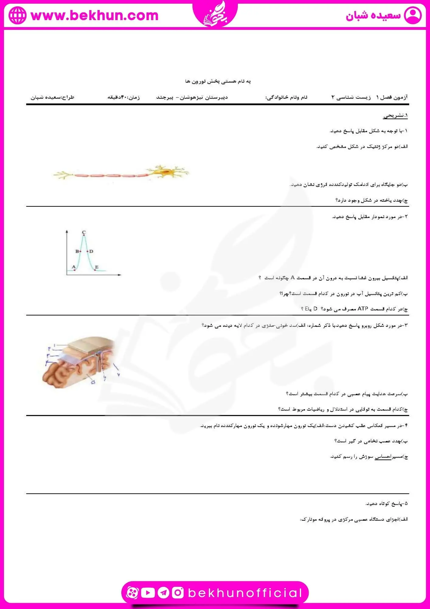 نمونه سوال فصل اول زیست یازدهم | تنظیم عصبی 36 سوالات درس اول زیست یازدهم