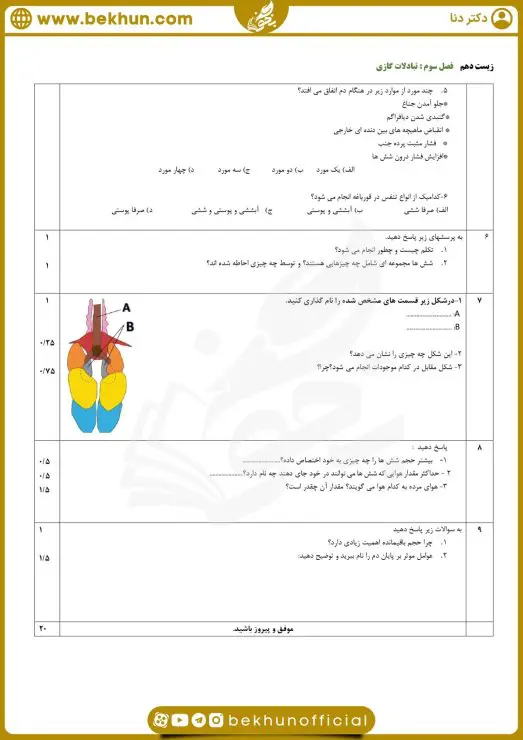 نمونه سوال فصل 3 زیست دهم با جواب 6 نمونه سوال فصل ۳ زیست دهم با جواب
