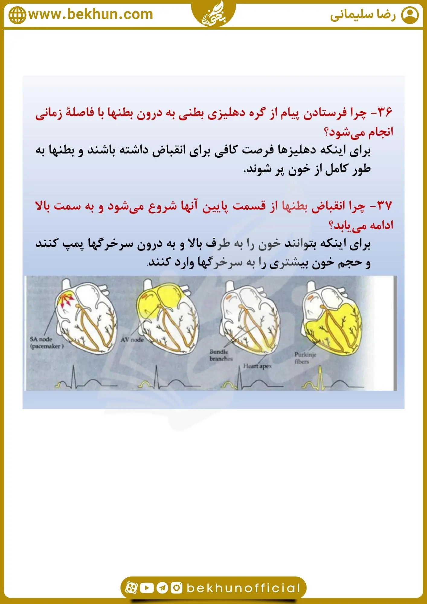 نمونه سوال فصل 4 زیست دهم با جواب 39 سوالات فصل چهارم زیست شناسی دهم تجربی