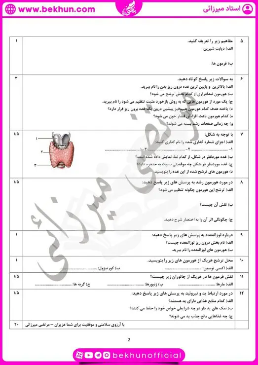 نمونه سوال زیست فصل 4 یازدهم