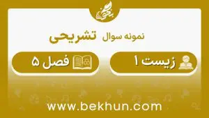 نمونه سوال فصل 5 زیست دهم با جواب