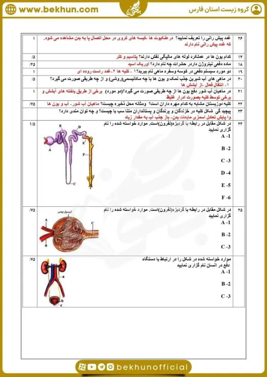 نمونه سوال فصل 5 زیست دهم 7 نمونه سوال برای فصل 5 زیست دهم