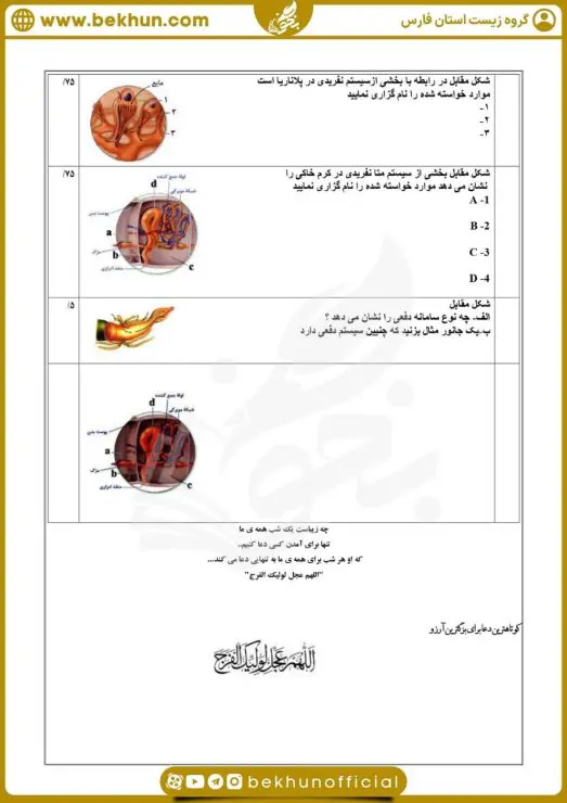 نمونه سوال فصل 5 زیست دهم 8 سوالات فصل 5 زیست دهم با جواب
