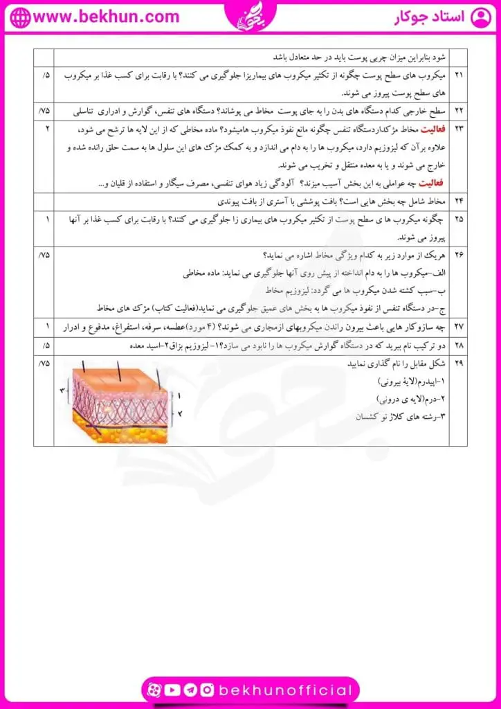نمونه سوال فصل 5 زیست شناسی یازدهم