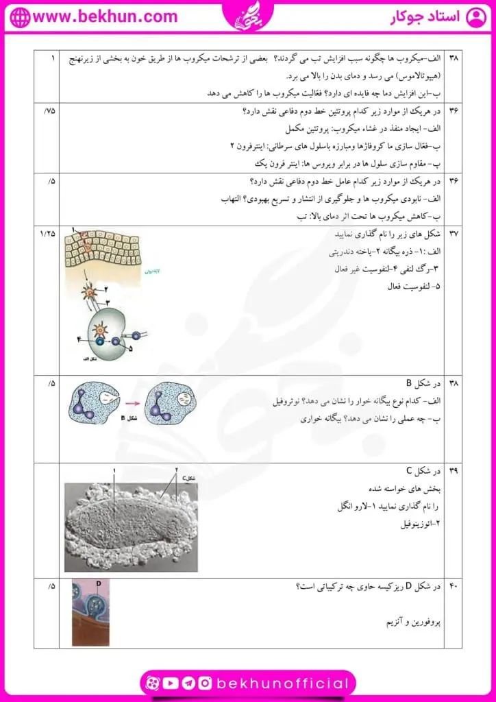 نمونه سوال گفتار یک فصل پنجم زیست یازدهم