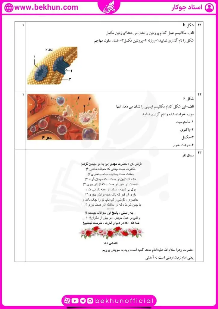 نمونه سوال گفتار یک فصل پنجم زیست یازدهم