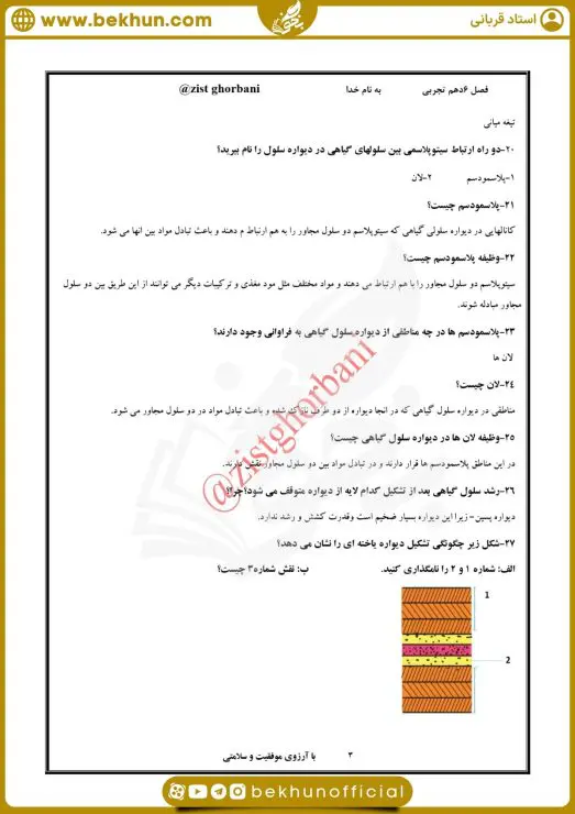 نمونه سوال فصل 6 زیست دهم 8 سوالات فصل 6 زیست دهم با جواب