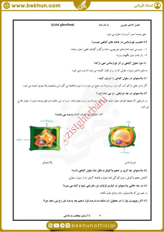 نمونه سوال فصل 6 زیست دهم 10 نمونه سوال امتحانی فصل ششم زیست دهم با جواب