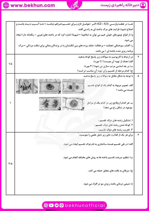 نمونه سوال فصل ۶ زیست یازدهم با جواب 7 حل نمونه سوال فصل 6 زیست یازدهم