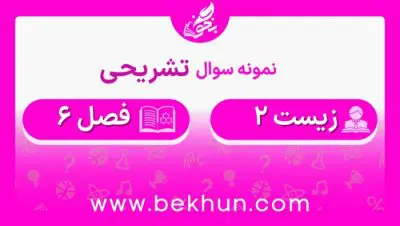 نمونه سوال فصل ۶ زیست یازدهم با جواب