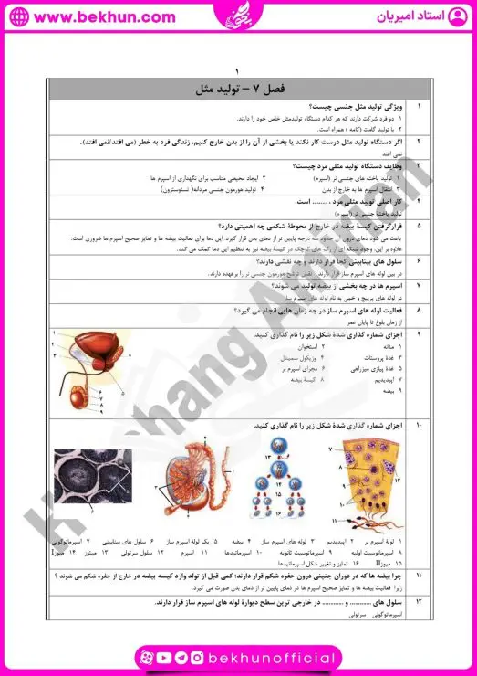 نمونه سوال فصل ۷ زیست یازدهم با جواب 6 نمونه سوال زیست یازدهم فصل ۷
