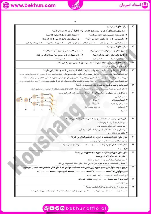 نمونه سوال فصل ۷ زیست یازدهم با جواب 7 نمونه سوال زیست یازدهم فصل 7 گفتار 1