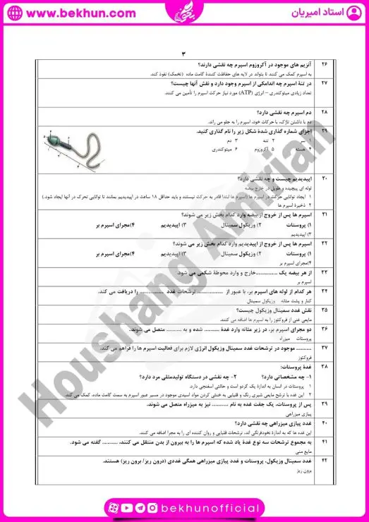 نمونه سوال فصل ۷ زیست یازدهم با جواب 8 نمونه سوال گفتار 2 فصل 7 زیست یازدهم